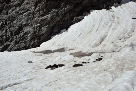 Belle rimaye le long du rocher que l’on longe sur le glacier du Monêtier