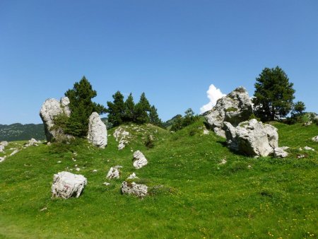 Le champ de rochers dans le vallon de Marcieu