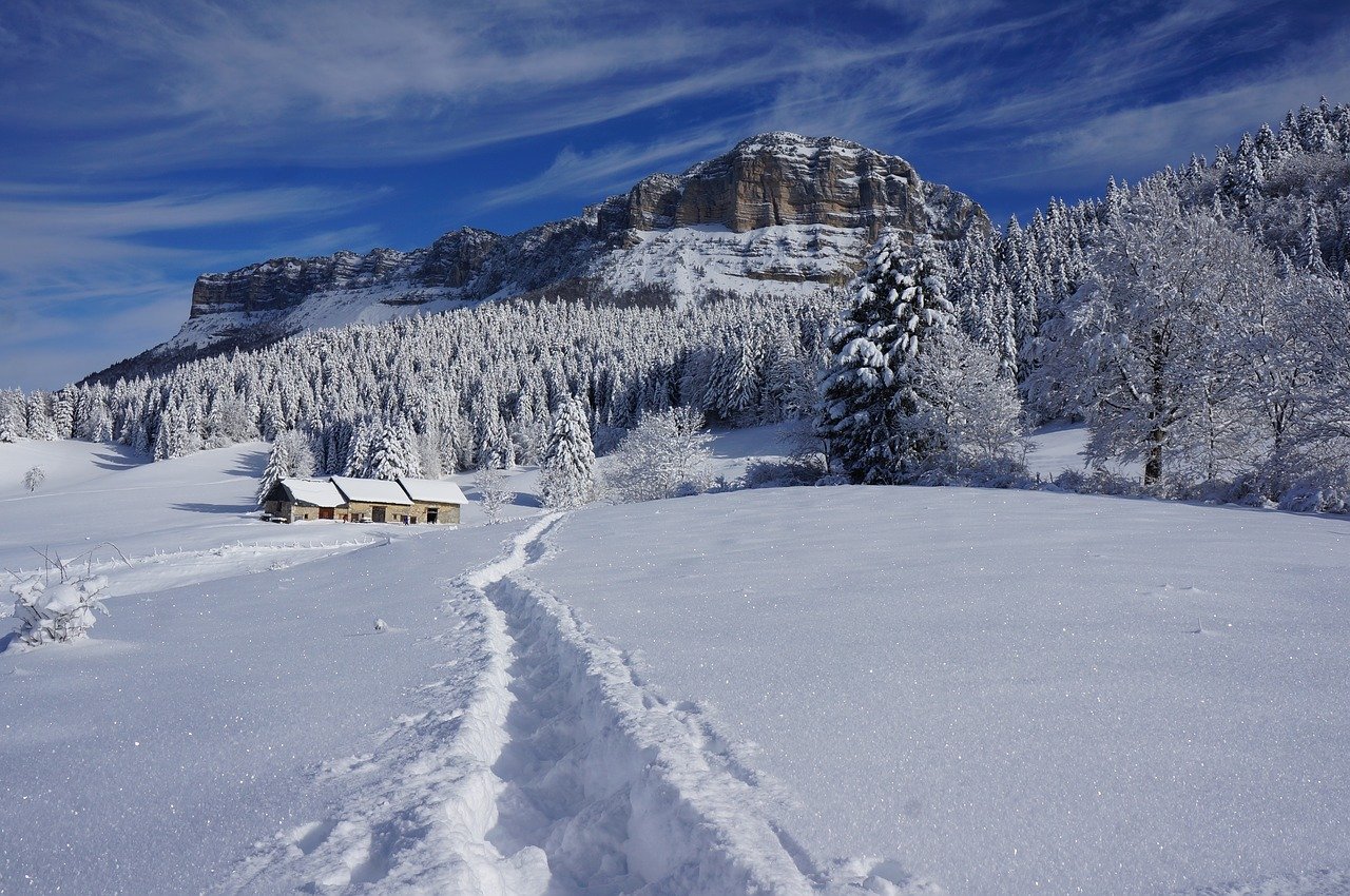 Raquettes à neige : conseils pour débuter et pratique alpine