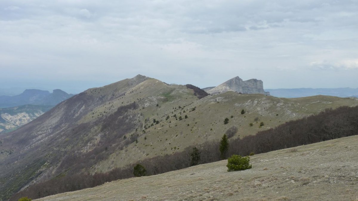 Le Grand Delmas 1544m Ou Montagne De Couspeau Par Rochefourchat Randonnee Massif Du Diois Rochefourchat