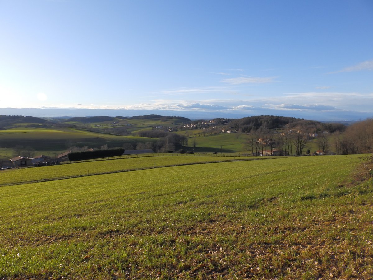 Crêt Des Courtines (933m) Par Duerne - Randonnée Monts Du Lyonnais ...