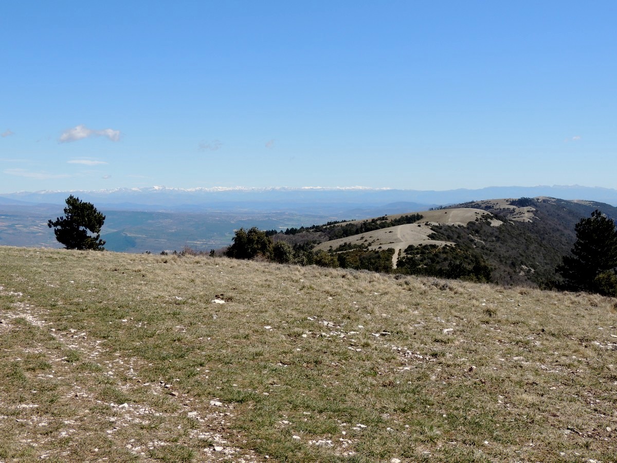 Le Mourre Nègre 1125m Tour Et Ascension Grand Luberon - 