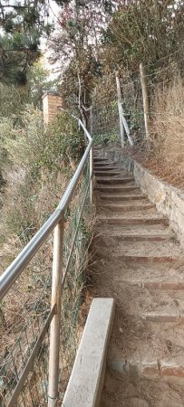 Escalier sur le parcours «sentier du littoral»