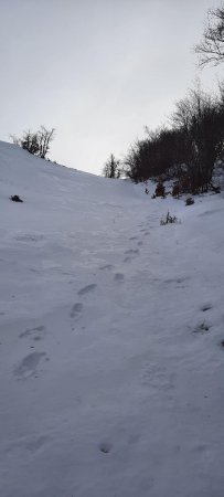 La pente s’accentue un court moment (dans le rétro)