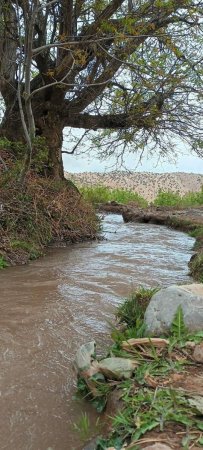 Canal d’irrigation dans la vallée d’Arrous