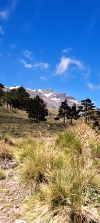 Le Cerro del Caballo à la sortie du bois