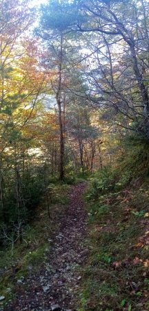 Beau sentier en direction de Crépée et l’Aupigne.