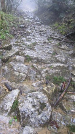 Le sentier qui ressemble de plus en plus au ruisseau...