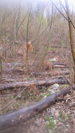 Le sentier, à la descente