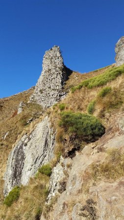 Un dyke sur le chemin