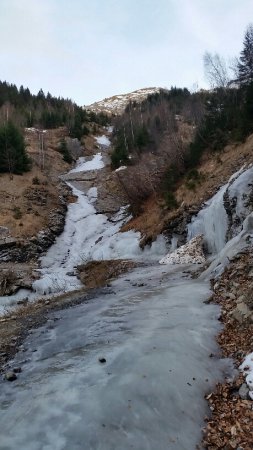 Pas de neige mais le froid est bien là