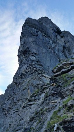 Tour Carrée à la sortie du cirque