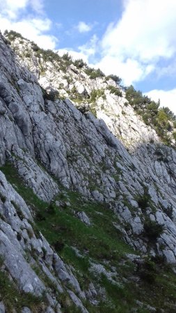 La terrasse herbeuse et les premiers gradins