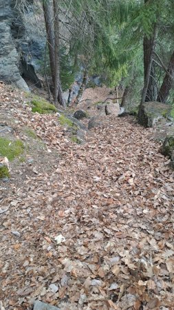 Vue arrière sur le sentier menant au Petit Arvet 