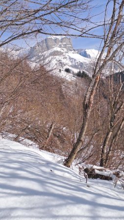 En montant vers la croix du Planet, vue sur les 4 têtes 