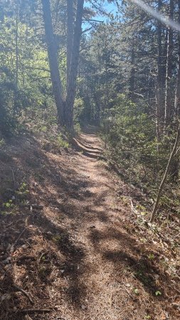 Petit chemin sympathique en sous-bois : à profiter avant que les choses sérieuses ne commencent...