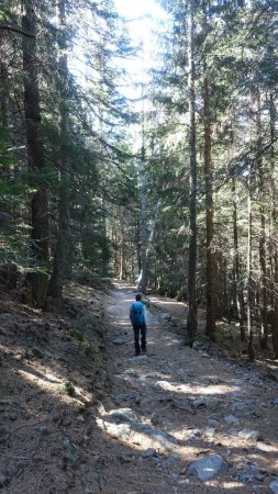 Le bon sentier