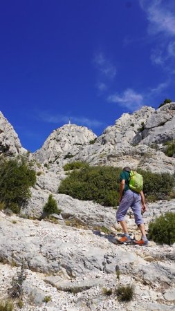 en alternance avec des zones de marche