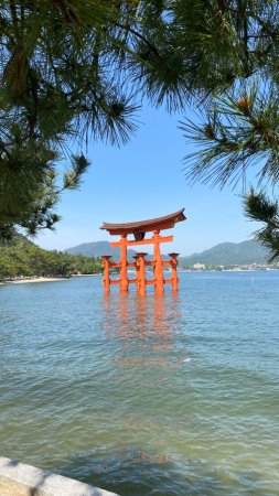 Torii flottant proche du port