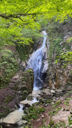 Shinjino falls