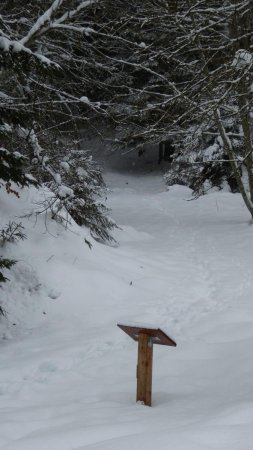 Début du sentier