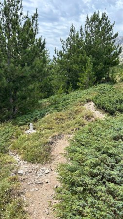 Croisée des chemins : prendre celui de droite !