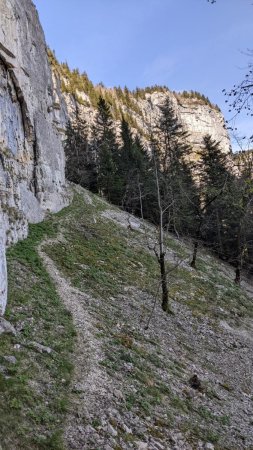 Sur la sente transversale, arrivée à la draye des Communaux.