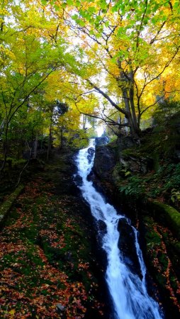 La cascade créée par les aménageurs.