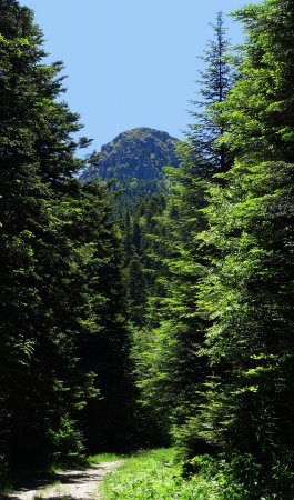 Dans le rétro.