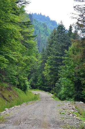 C’est parti pour la longue descente vers le Grand Bornand