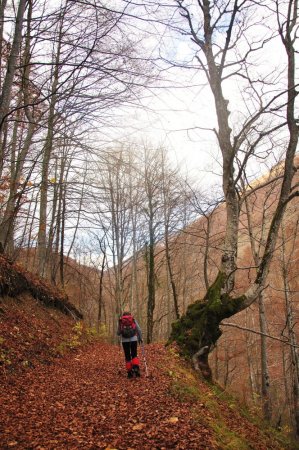 montée dans les feuilles (bientot la neige)