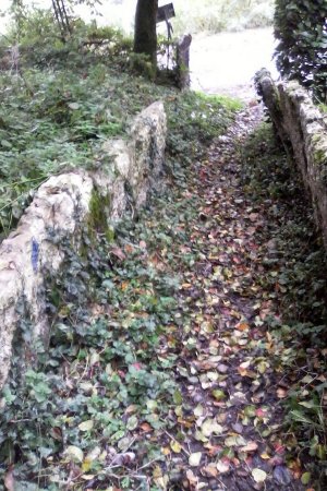 Le sentier bordé de lauzes