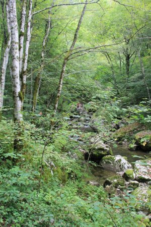 Nous suivons la la rivière Kozjak