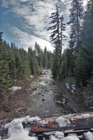 Sur le pont de Roe Creek SR