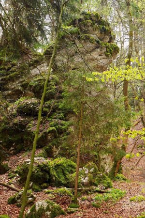 Felsenmeer.