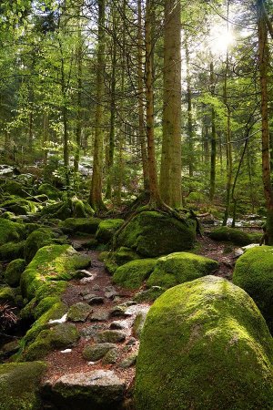 Gertelbach Wasserfälle, sentier des cascades.