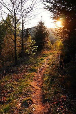 Sur le Briefträgerweg.