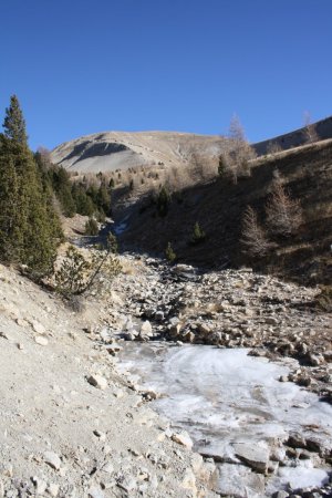 ...qui visiblement ne reçoit pas énormément de soleil