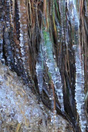 la cascade gelée