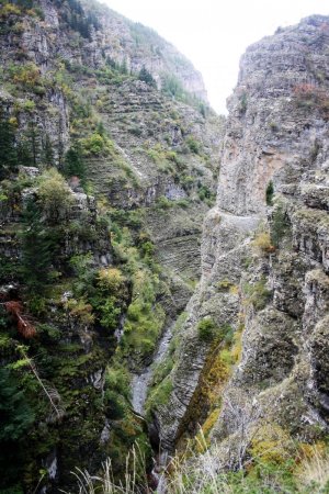 en rive gauche, une forêt sans doute «primaire», d’un accès peu aisé