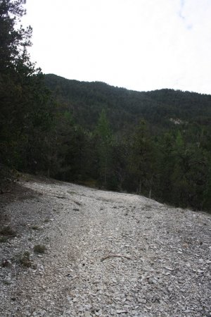 L’un des nombreux pierriers qui vont émailler le parcours