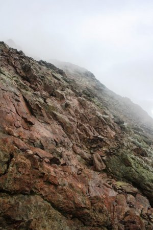 Un terrain accidenté