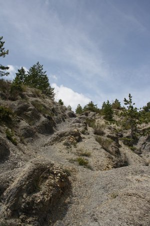 Regard en arrière sur le ravin