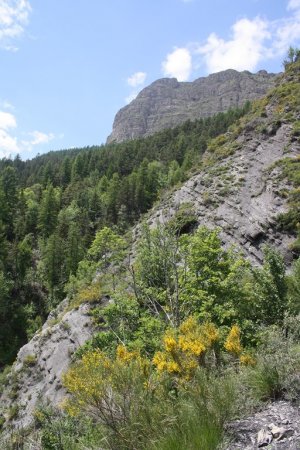 La Gardette, vue arrière