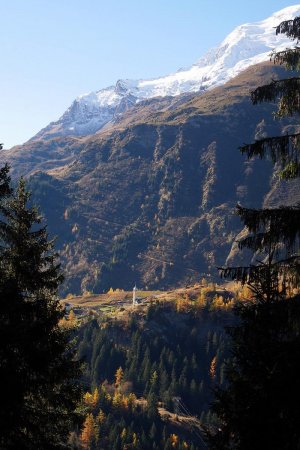 Point de vue en forêt, sur le hameau de la Gurraz.