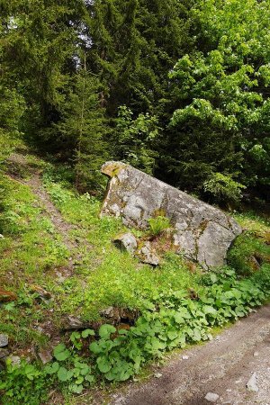 Venant de la Louïe, le sentier fait la jonction avec le chemin pris à l’aller, entre la Commodité et le Crôt.