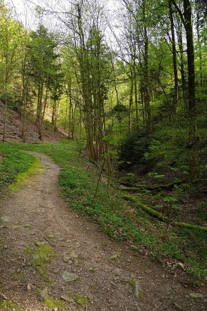 Passage dans le petit vallon du Grünbach.