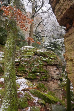 Sur le sentier du Felsentreppe.