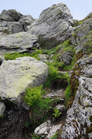 Montée dans les rochers après le replat 2225m.