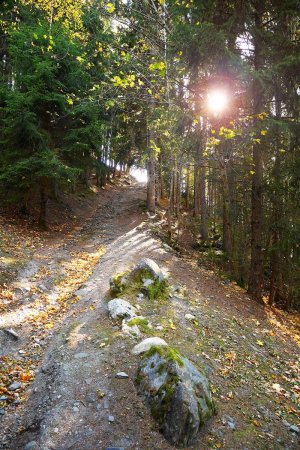 Sentier de montée vers le hameau du Bérard.